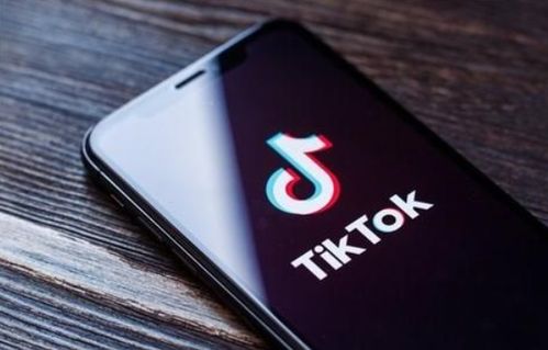 TikTok下载全攻略：安卓与iOS设备完整指南
